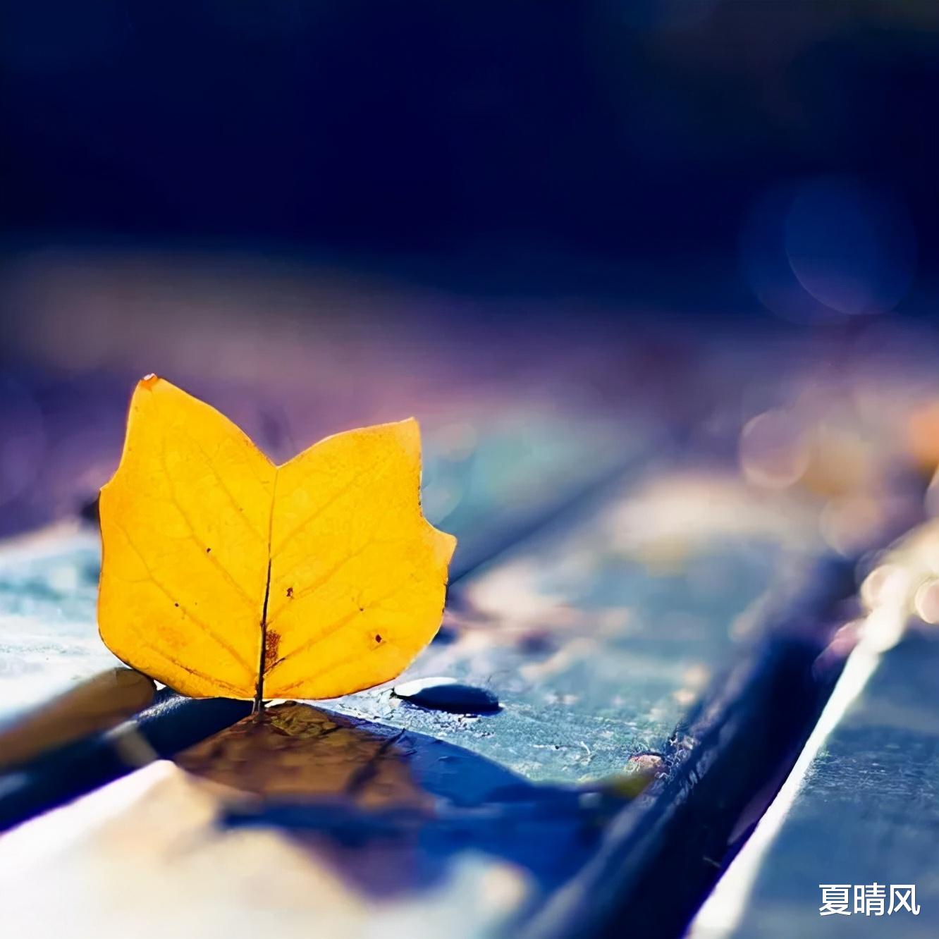 夏晴风|原来借钱的下场，这般扎心