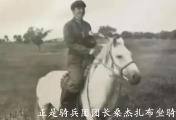 佟丽娅|86版《西游记》被奉为经典，火了师徒四人，白龙马就没那么幸运了