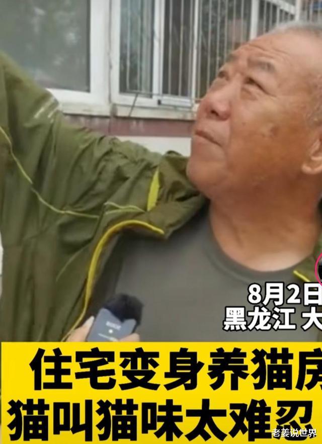 老姜说世界|黑龙江一住宅变身“猫房”,夜半发情猫叫太吓人,邻居难以忍受