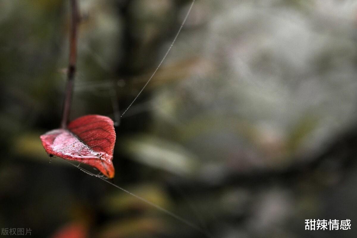 甜辣情感|男人有一个交往多年的红颜知己，是什么感受？三个男人说出来心底话
