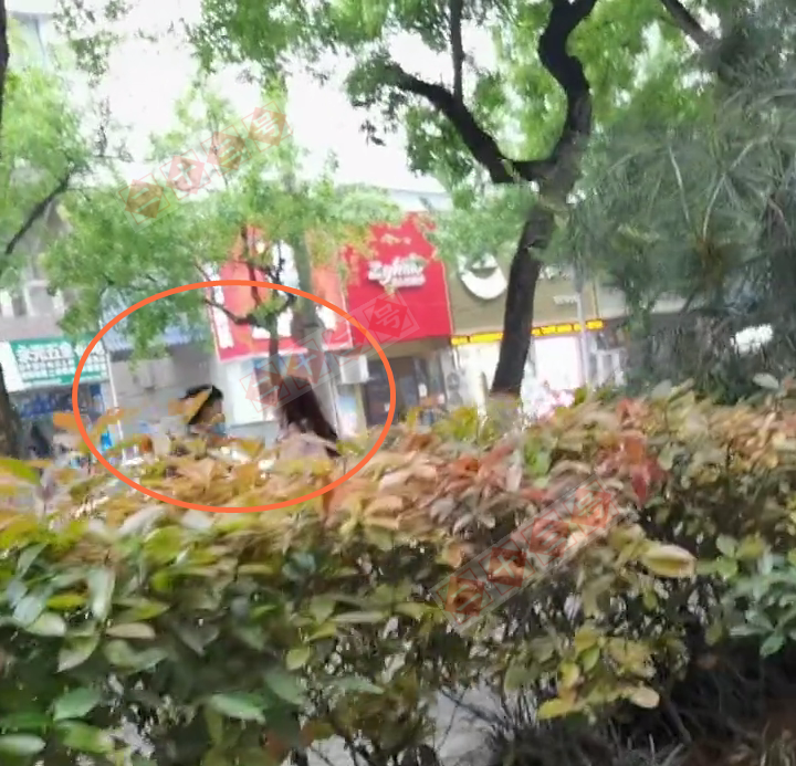 二十三 男女街头吵架,女子被气到当街脱衣服,幸好环卫工帮她穿上