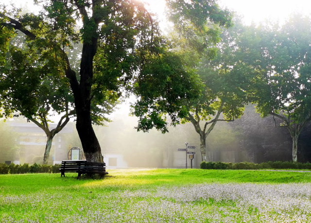 |华博紫砂园·名家紫砂壶艺术大观园