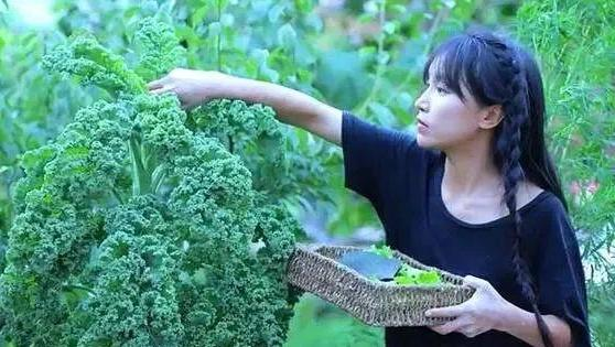 锂电池|从李子柒的事件来看，微念这类资本公司其实就是“吸血鬼”啊！