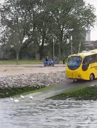 学姐说育儿|兄弟,不要以为关上车窗就能为所欲为了,我在外面都看见了