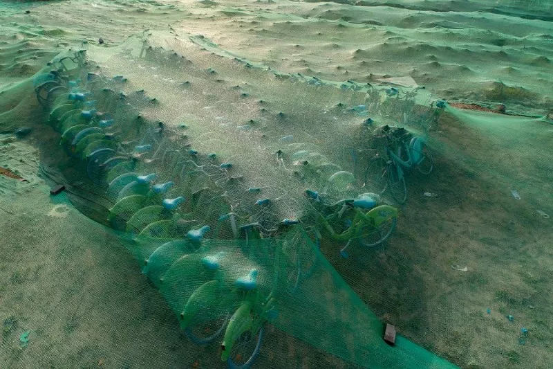 白色污染 新冠爆发超2亿人感染，438万人死亡：人类消失的日子，水清了，天蓝了，动物开始了一场狂欢