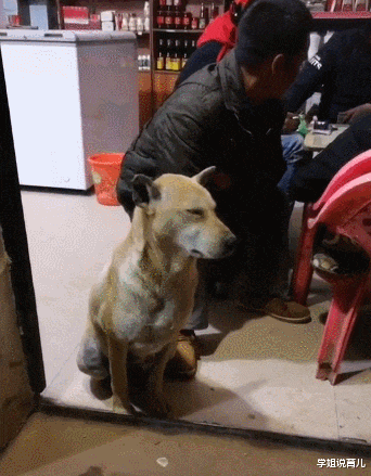 学姐说育儿|“妹子真粗心啊,光顾着玩手机了,连自己的铠甲开了都不知道”哈哈哈