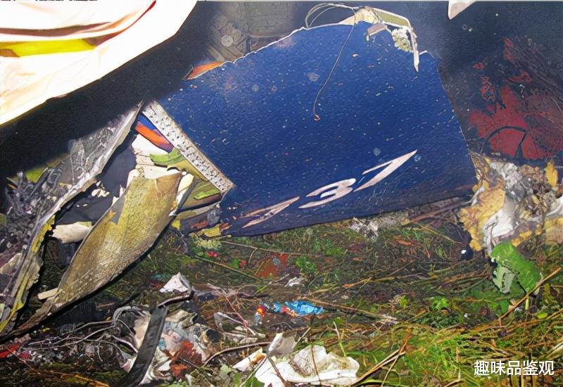 飞机|冤！俄821航班致88人遇难：机长是醉酒王，副机长是挂科王（上）