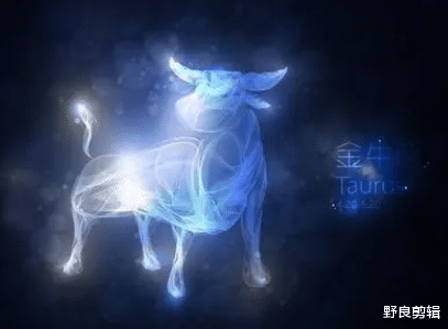 野良剪辑|在十二星座当中,有哪一些星座比较容易爱上男闺蜜呢