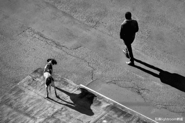 极简照怎么拍,5个技巧教你怎么拍好极简摄影!