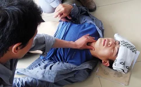 感冒|药食两用之藿香