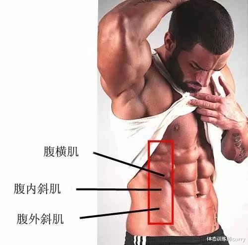 体态训练师curry|究竟什么是人鱼线？如何控制饮食？这7个动作让你拥有马甲线！