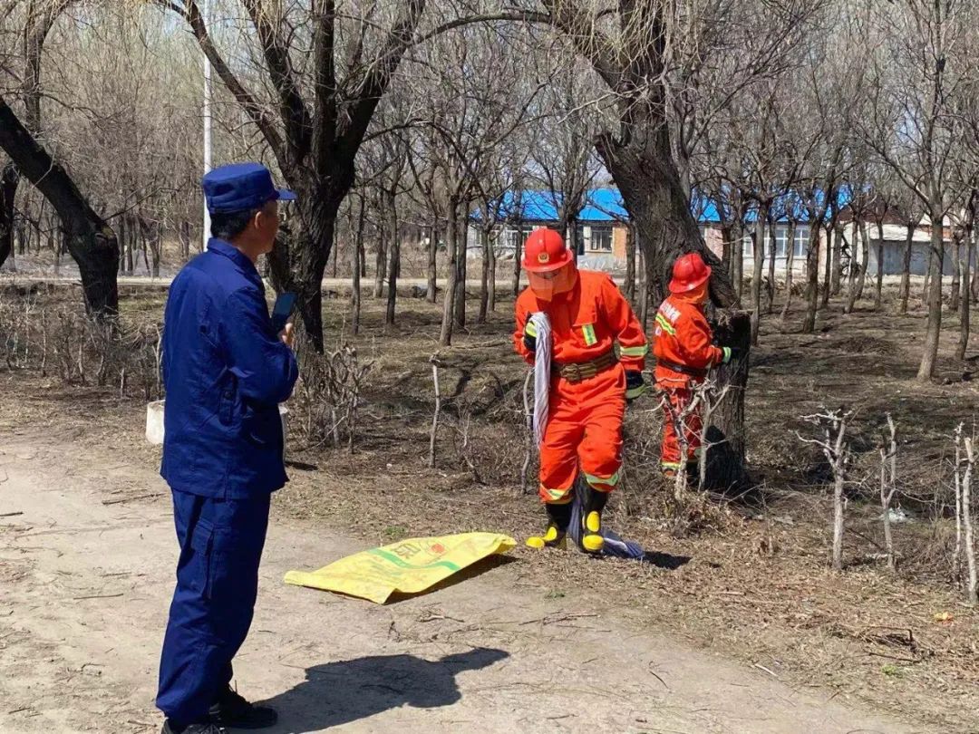 聚焦青龙山 猫头鹰成为青龙山农场常住“居民”