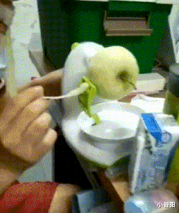 小谷阳|妹子！你白长两条大长腿，被人卖了你还得给人家数钱！哈哈哈