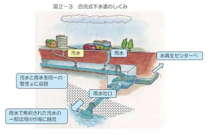 大橙子爆料|东京湾铁人三项多个选手狂吐，日本网友：水这么脏，我游我也吐