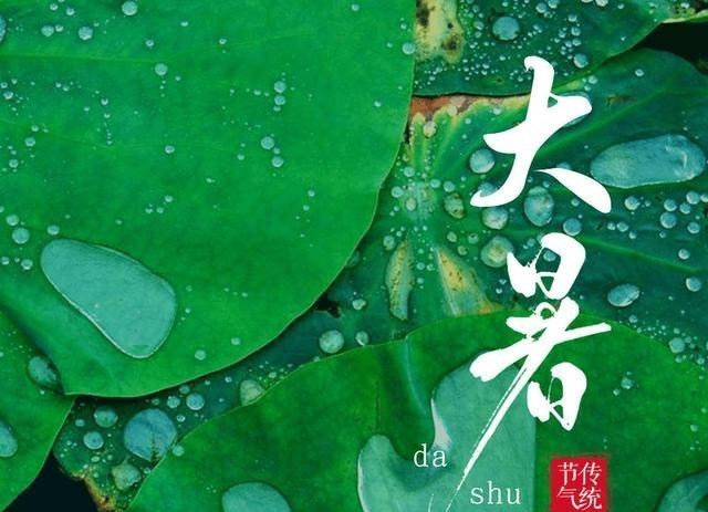 黄鳝|明日大暑,再忙也别忘了吃“6个一”,应季而食解暑气,舒心过夏