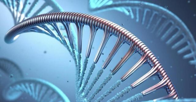 隔离 世界上如果没有生殖隔离，将会怎样？其实并非是好事！