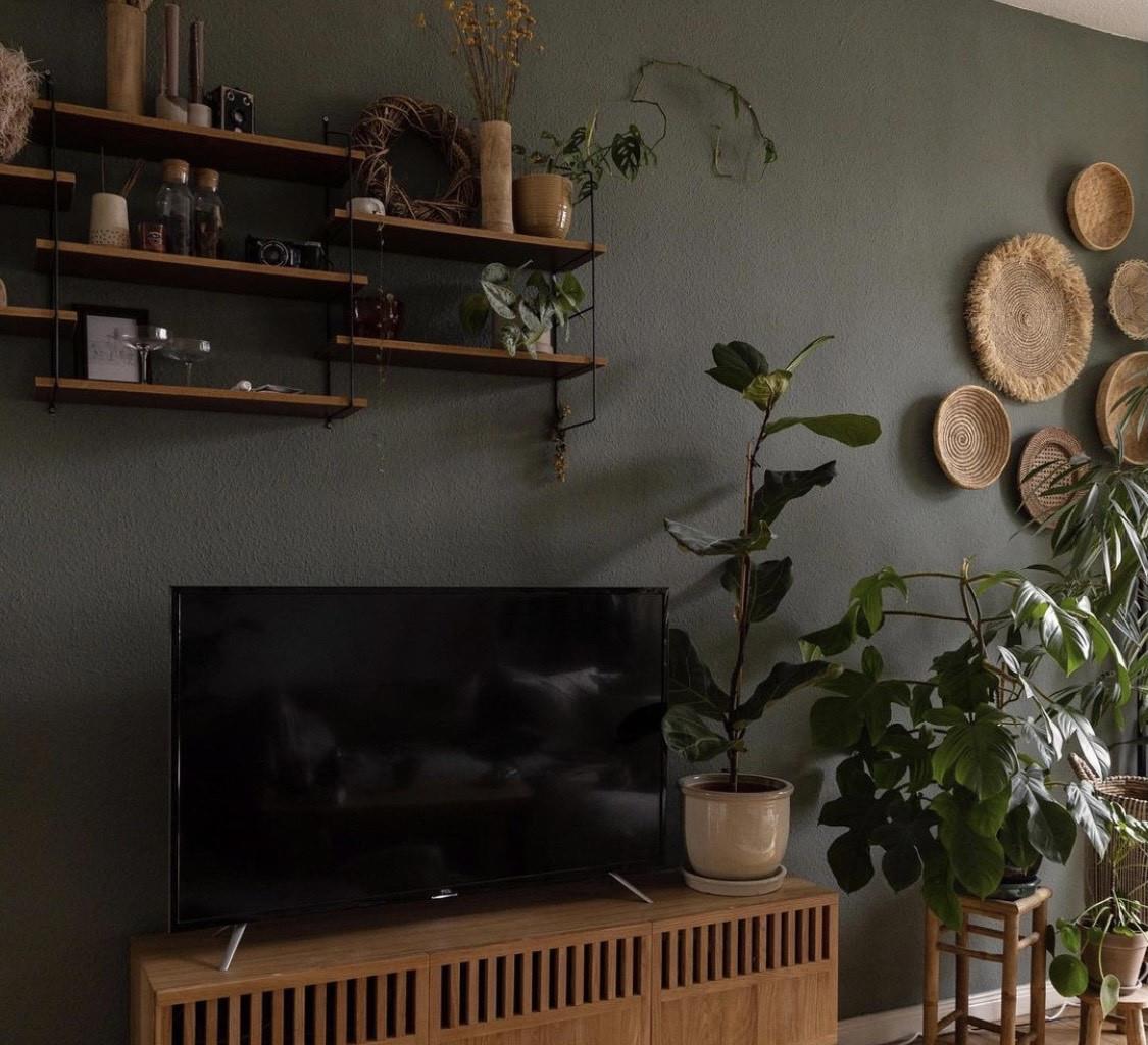 柏林女主的精致一人居:全屋被绿植包围,温暖治愈,超有格调!