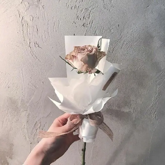 情感语录生活感悟|女人阳光心态的早安心语,发朋友圈人人点赞!