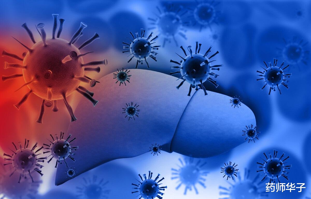 药师华子|转氨酶有什么意义,升高就是肝损伤了吗,保护肝脏要怎么做?