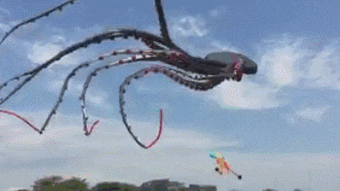 萌萌萌说|“爷爷说我家曾经很有钱，直到看见爸妈的结婚照我才信！”哈哈哈