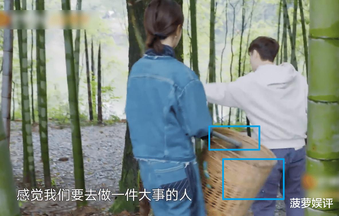 張藝興帶著楊紫挖筍，兩個人認真幹活的模樣，確實很圈粉-圖3