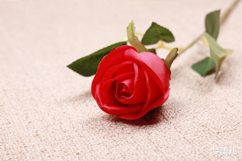 梦美儿|情人翻脸,转身无情