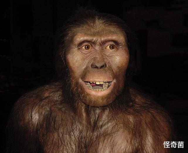 化石 猿进化到人的过程中，为什么有13万年空白期？这期间发生了什么？