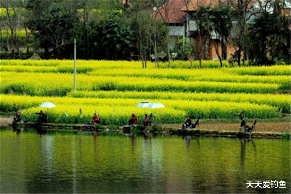 |春季鱼好钓，还有这些钓鱼谚语可以参考，想不“爆护”都很难！