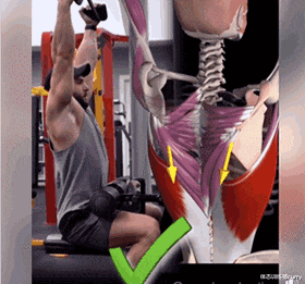 |高位下拉到底怎么练,很多人都练错了!