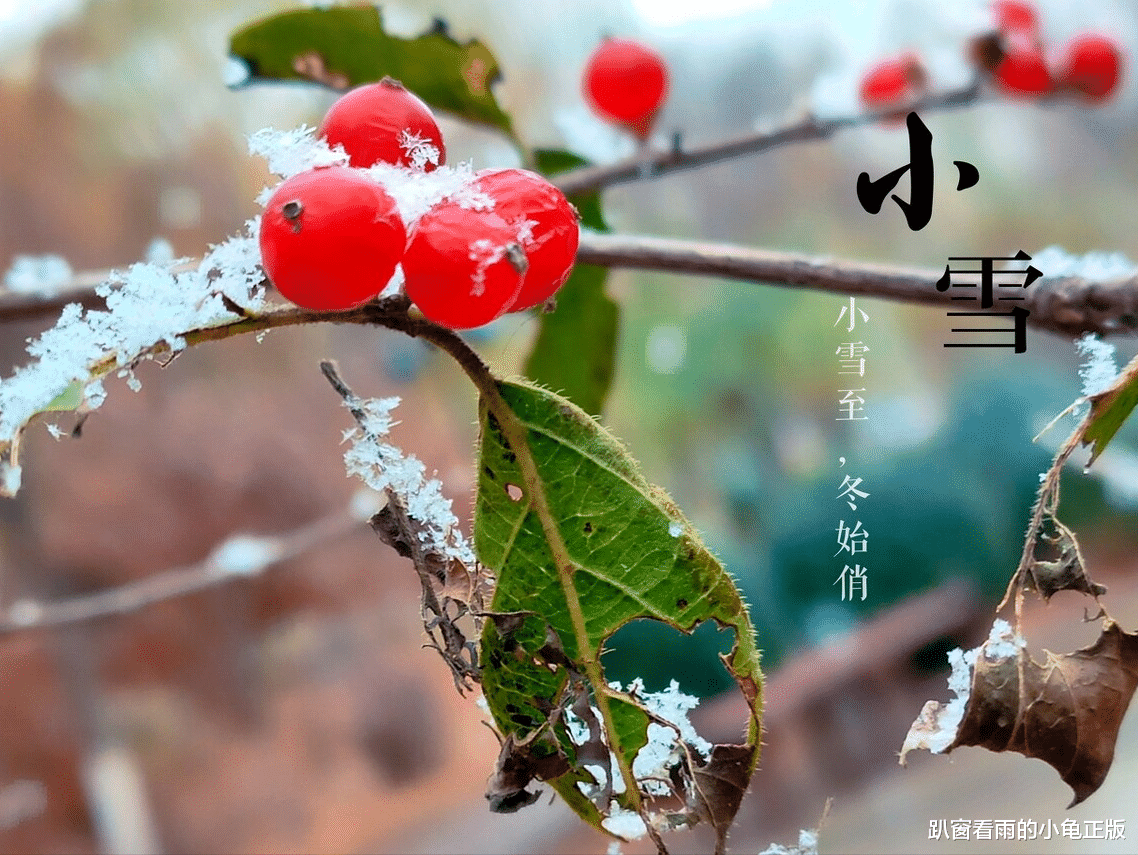 苹果|小雪将至，御寒保暖是关键，多吃这5种食材，营养滋补，一冬无病