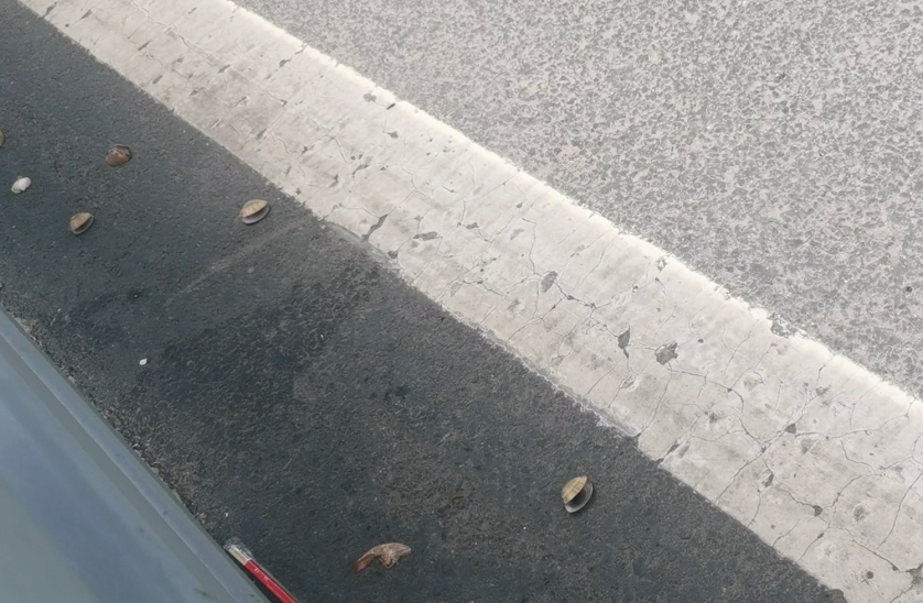 心血管疾病|危险!早高峰,大连星海湾跨海大桥上出现“钉子阵”!