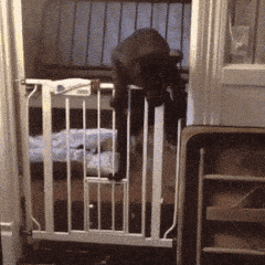 萌控孩|现在足疗店都这么好玩了？为啥要用小锤子呢？多少有些想不通哈哈