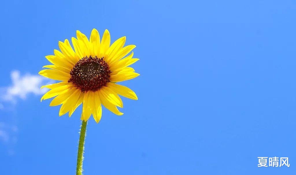 夏晴风|一个人开始有钱的征兆