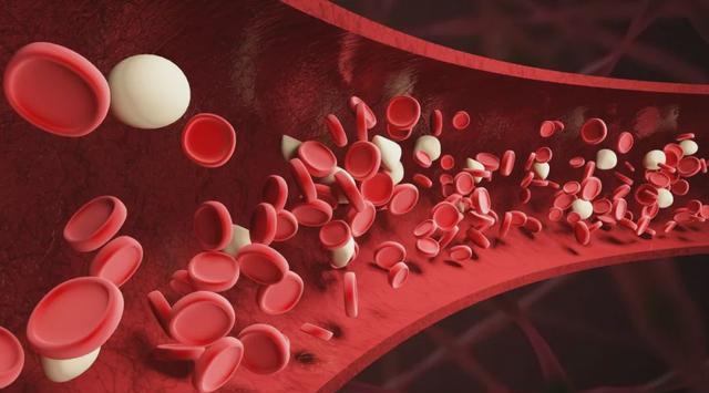 养生|医生:这2种食物,尽量别贪吃,高血压高血脂的朋友进来看看