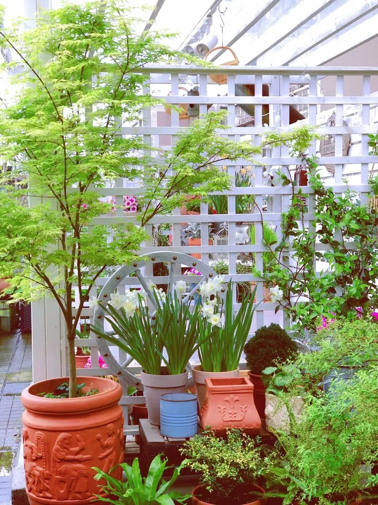 四楼80㎡荒废露台，DIY打造空中小花园，成了朋友们聚会的打卡地