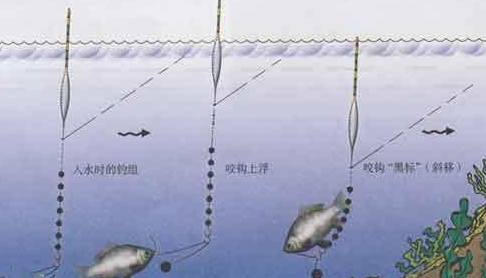 |三种草鱼钓法，不仅钓法不同，用饵和思路上另有篇章——盛世三渔