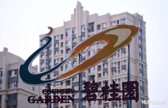 陈冠希|既学罗志祥、又学陈冠希？碧桂园高管被妻子举报出轨多名女下属！