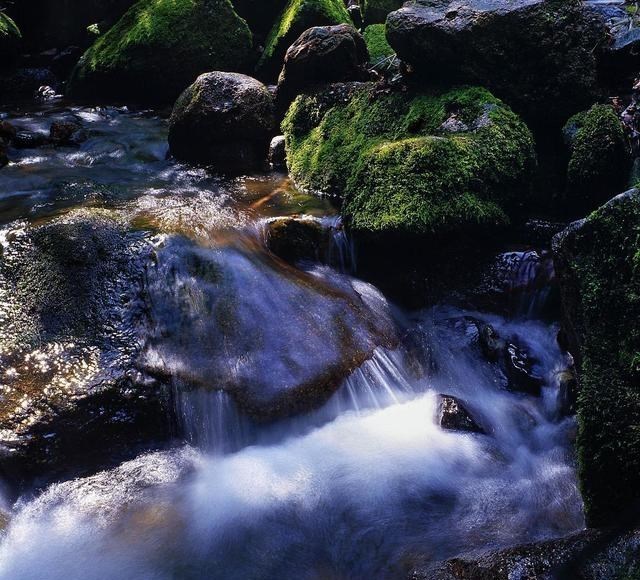 导游 辽宁有一座“小黄山”，被誉为“燕东胜景”，拥有迷人的枫叶景观