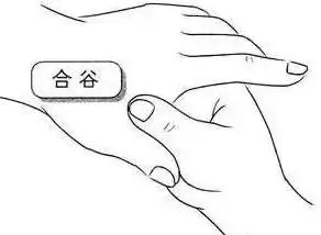 穴位|详解人体各穴位位置及功效!