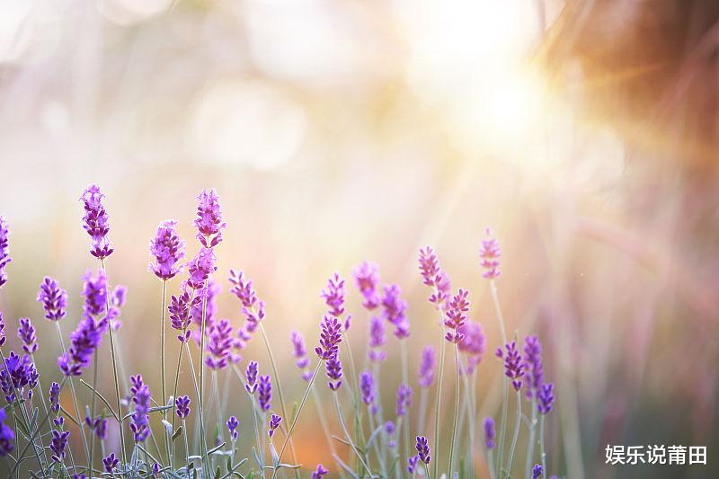 运势|好运连连的三星座，职业运势超好，未来一周可能会平步青云