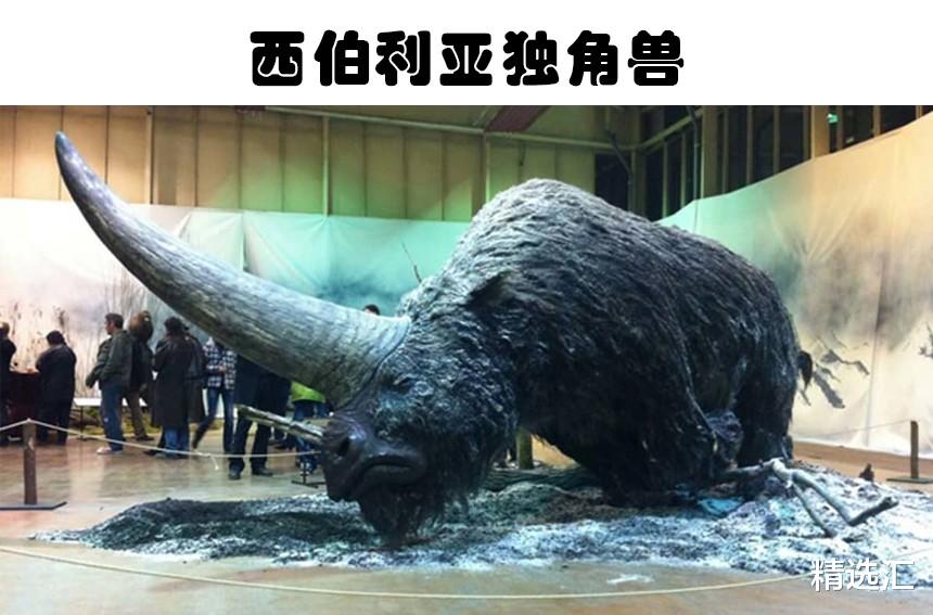 现代科学家打算运用技术复活的5大灭绝动物