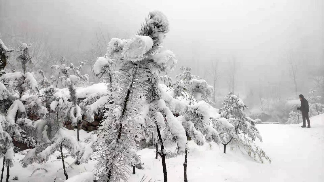芽庄 终南山雪景犹如仙境，冒雪拜访住在山洞里的终南隐士，谁知山洞竟然被烧了，怎么回事？