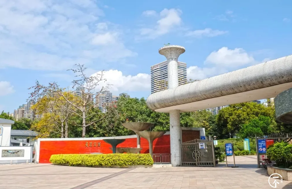深圳市|深圳妹子勇闯洪浪北租房市场，被中介痛骂！