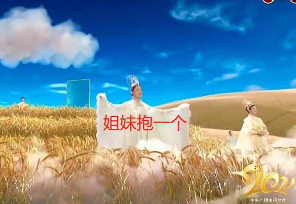 表情包|央视春晚十大亮点！岳云鹏实力挽救口误，吴京被做成表情包太搞笑