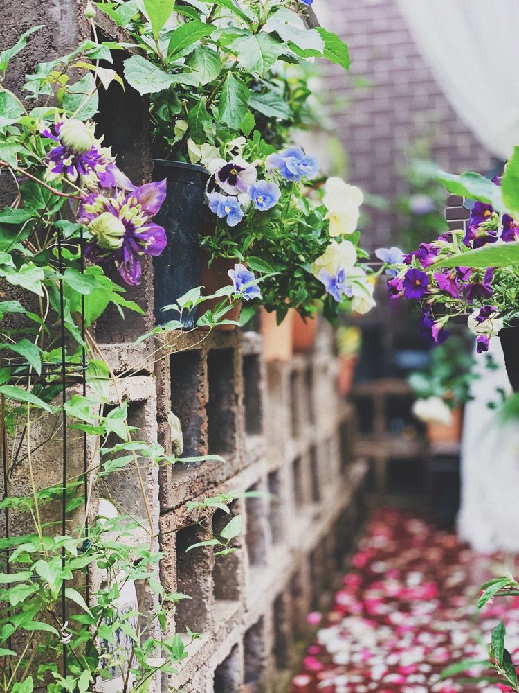 古镇 我的54㎡露台花园,一个可在花丛中漫步的地方,舒适宜人美不胜收