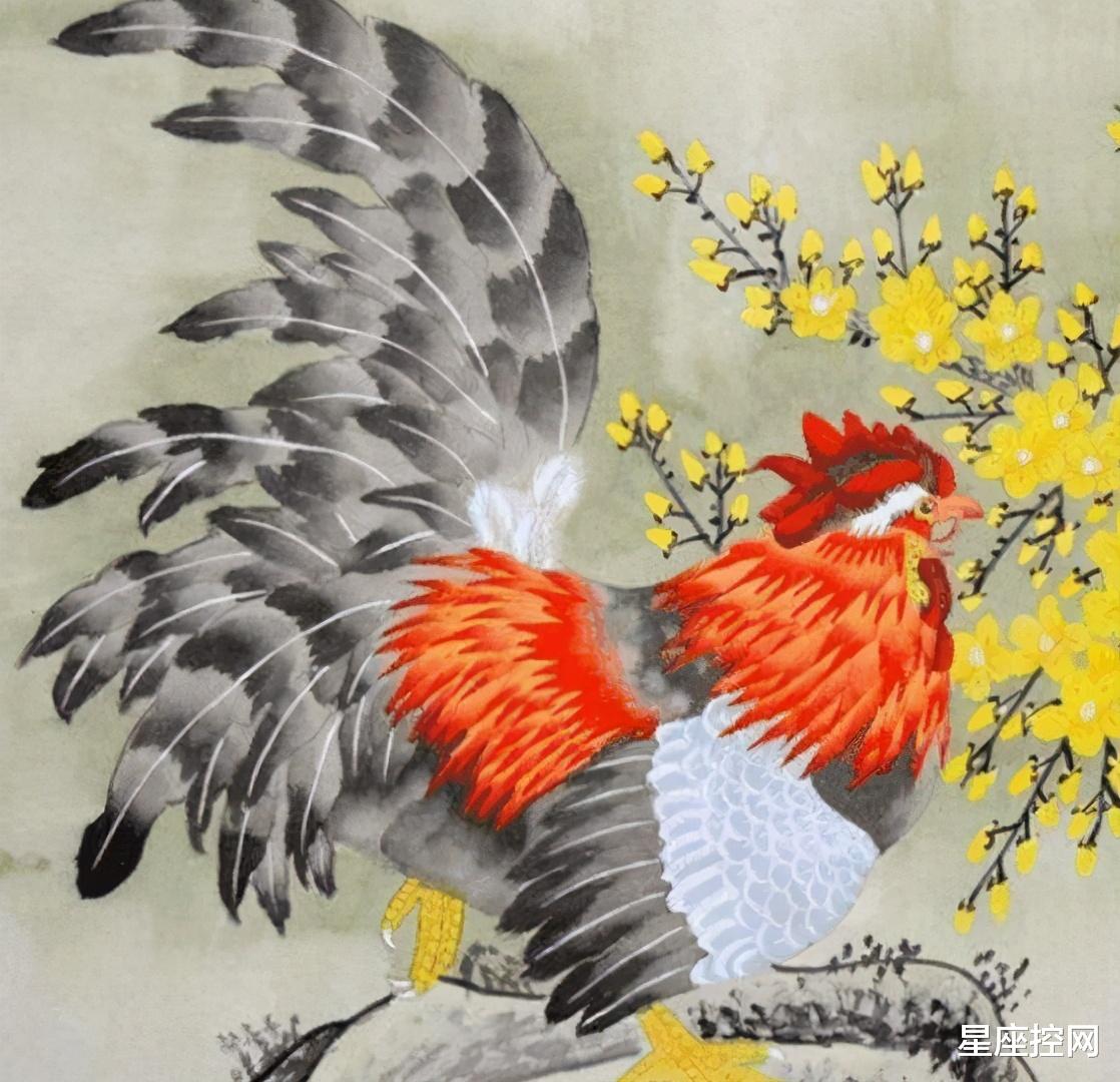 生肖|今年一整年福气不离，贵人不弃的3个生肖，从年初到年尾如鱼得水