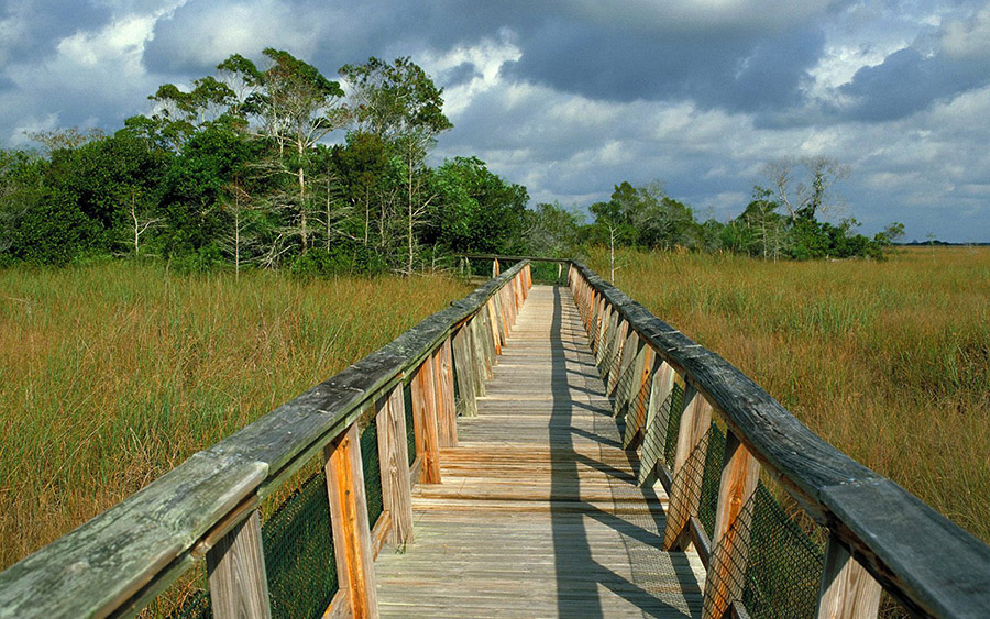 手相|11月起，3大生肖财帛不缺，事事顺心如意，富贵又旺夫