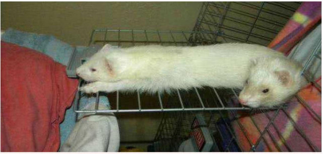 微趣图|38张“难得一见”的照片,神奇的巧合,搞笑的事件