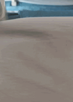 萌萌萌说|“我老婆很像范冰冰，你们是不是嫉妒了？”评论区精彩了！哈哈哈