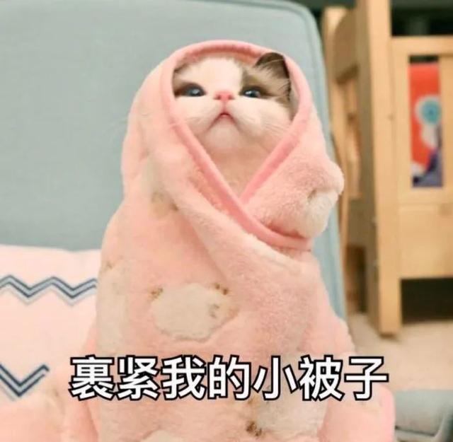 大雨+寒潮预警 !杭州这天开始气温爆降!网友惊叹:太短了...